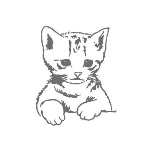 Poes afbeelding Poes afbeelding